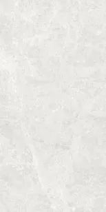 Керамогранит Global Tile Korinthos Светло-серый 60x120 GT120604606PR
