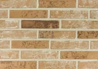 Плитка Lifebrick Клио 4.8x22.8 CL150
