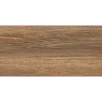 Керамогранит Lasselsberger Ceramics Винтаж Вуд коричневый 30x60 6060-0288 Керамогранит Lasselsberger Ceramics Винтаж Вуд коричневый 30x60 6060-0288