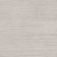 Керамогранит Rex Ceramiche Magnum Plank Comfort 6mm 120x120 774883