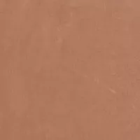 Керамогранит Ape Ceramica Argillae Coral Rect 60x60 Керамогранит Ape Ceramica Argillae Coral Rect 60x60