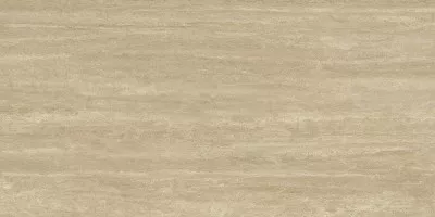 Керамогранит STN Ceramica Fortune P.E. Natural Mt Rect 60x120 Керамогранит STN Ceramica Fortune P.E. Natural Mt Rect 60x120
