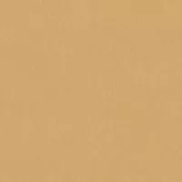 Обои As Creation Floral Impression 37750-1 0.53x10.05 флизелиновые