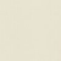 Обои Rasch Cuisine/Florentine 918861 1.06x10.05 виниловые
