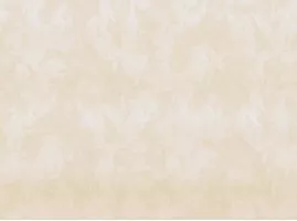 Обои Fipar Felicita 1.06x10.05 винил на флизелине R 23332