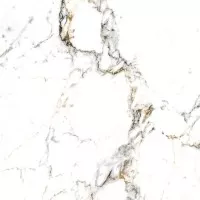 Керамогранит Museum Tucci Gold/60x60/P 60x60 20578