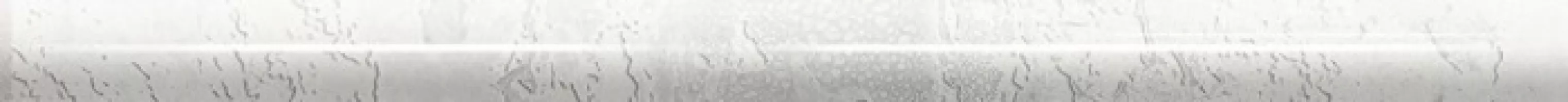 Бордюр Ape Ceramica Torello Snap White 2x30 A034826