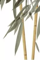 Декор Alma Ceramica Bamboo 24.9х36.4 ВС7БМ004