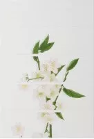 Декор Alma Ceramica Midori 24.9х36.4 DWU07MID025