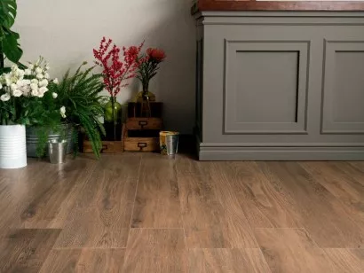Керамогранит Ascot Ceramiche Natural Noce Cenere Out 20x120 NT12240O