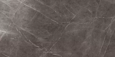 Керамогранит напольный AY2O Marvel Grey Stone Lappato 120x240 Atlas Concorde Italy Керамогранит напольный AY2O Marvel Grey Stone Lappato 120x240 Atlas Concorde Italy