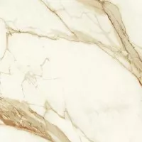 Керамогранит Atlas Concorde Italy Marvel Shine Calacatta Imperiale Lap Ret 60x60 A4QV