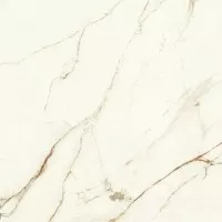 Керамогранит Atlas Concorde Italy Marvel Shine Calacatta Imperiale Silk Ret 60x60 A5TF