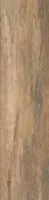 Керамогранит 58471 Stage Pointe Walnut 25x100 Cerdomus Керамогранит 58471 Stage Pointe Walnut 25x100 Cerdomus