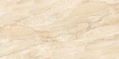 Керамогранит CV20192 Splendida Daino Beige Glossy 60x120 Colori Viva