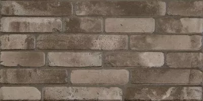 Керамогранит 10404001867 Portland Brown Коричневый Pg 1 20х40 Gracia Ceramica