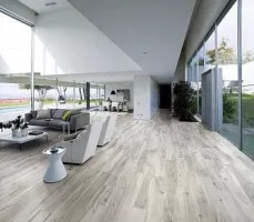 Kauri (La Fabbrica)