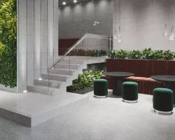 Concept (Paradyz)