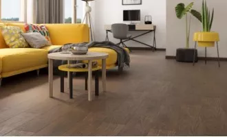 Discovery (Paradyz)