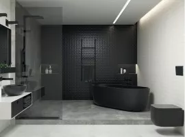 Modul (Paradyz)