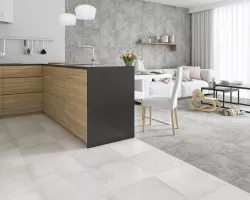 Proteo (Paradyz)
