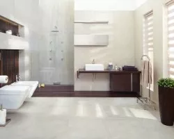 Rino (Paradyz)