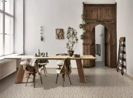 Contrasti (Ragno)
