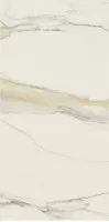 Декор 753289 I Classici Di Rex Calacatta Gold Chain E 6mm Matte Ret 120x240 Rex Ceramiche