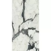 Керамогранит Rex Ceramiche Les Bijoux de Rex Calacatta Altis.Bla.Glossy Ret 80x180 766091 Керамогранит Rex Ceramiche Les Bijoux de Rex Calacatta Altis.Bla.Glossy Ret 80x180 766091