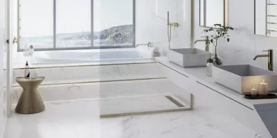 Artic (Venis)