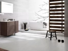 Madagascar (Venis)