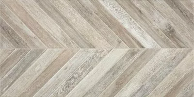 Керамогранит Altair Gris Mate 50x100 Alaplana Керамогранит Altair Gris Mate 50x100 Alaplana