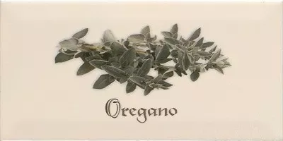 Декор Biselado Decor Crema Oregano 10x20 Ape Ceramica