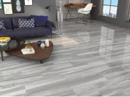 Project (Ape Ceramica)