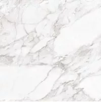 Керамогранит Argenta Carrara White Shine 60x60 Керамогранит Argenta Carrara White Shine 60x60