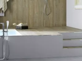 Pro-Level (Butech)