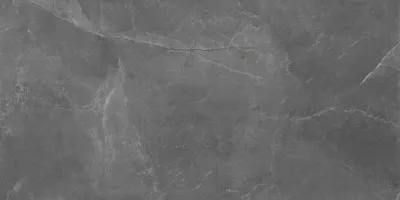 Керамогранит Cerrad Maxie and Stonemood Grey Rect 119.7х59.7 Керамогранит Cerrad Maxie and Stonemood Grey Rect 119.7х59.7