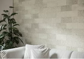 Saltstone (Cerrad)