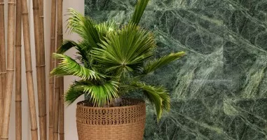 Verde Tikal (Decovita)