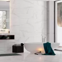 Apolo (Dvomo)