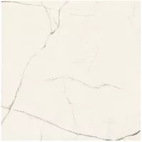 Керамогранит Imola Ceramica The Room 60x60 StaVP660Lp Керамогранит Imola Ceramica The Room 60x60 StaVP660Lp