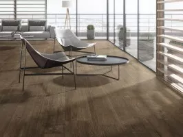 Arizona (Inalco)