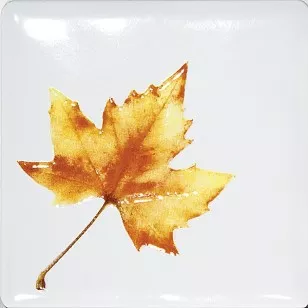 Декор A1839/1236 Сезоны Клен 9.9x9.9 Kerama Marazzi