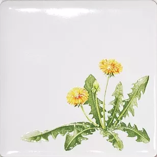 Декор A1840/1236 Сезоны Одуванчик 9.9x9.9 Kerama Marazzi