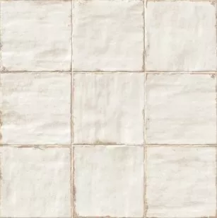 Напольная плитка PT02483 Pav. Livorno Blanco 20x20 Mainzu