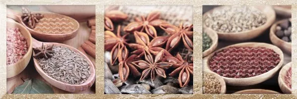 Декор Decor Exquisit A 10x30 Monopole Ceramica