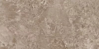 Керамогранит Museum Solto Taupe/50x100/Rw/R 50x100 22214 Керамогранит Museum Solto Taupe/50x100/Rw/R 50x100 22214