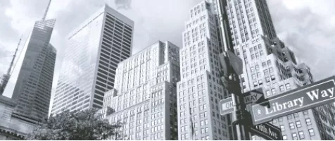 Декор Polcolorit Fortuna Digital New York City 25x60