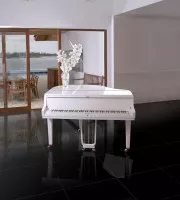 Blanco and Negro (Porcelanicos HDC)
