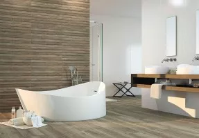 2217 (Porcelanite Dos)